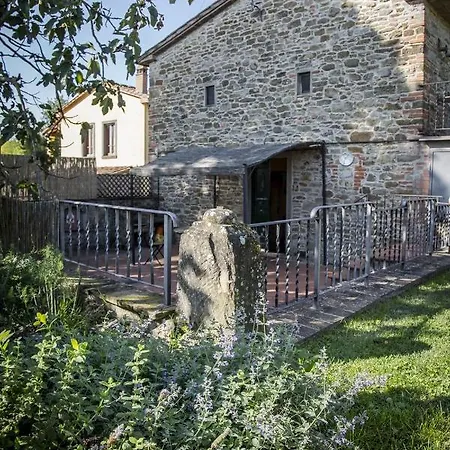 Baccio Di Magio Arezzo